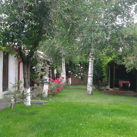 Camping Paradisul Soferilor Onesti Dış mekan fotoğraf