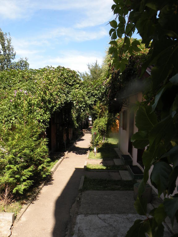Camping Paradisul Soferilor Onesti Dış mekan fotoğraf