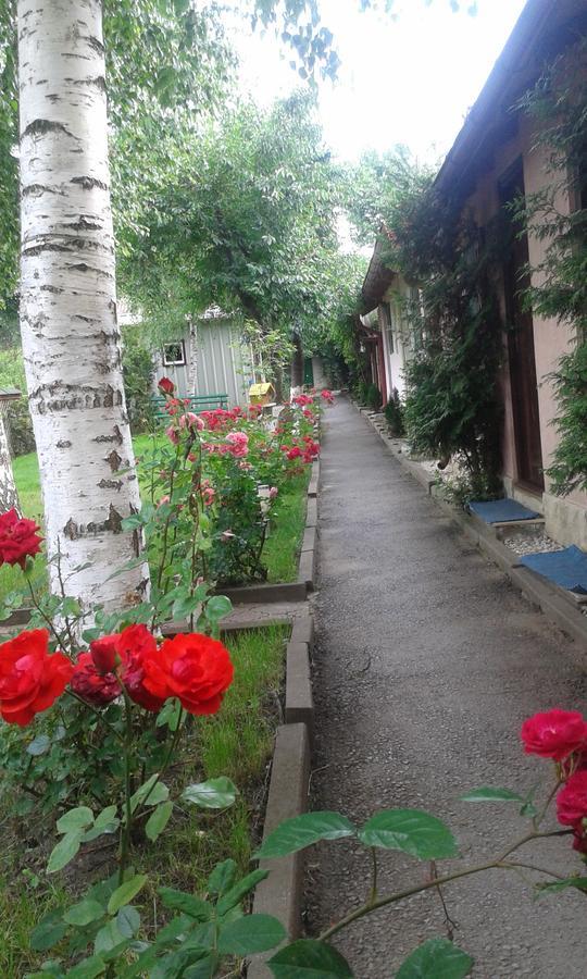 Camping Paradisul Soferilor Onesti Oda fotoğraf